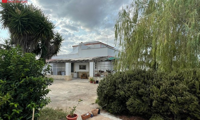 Appartamento Piano terra Indipendente