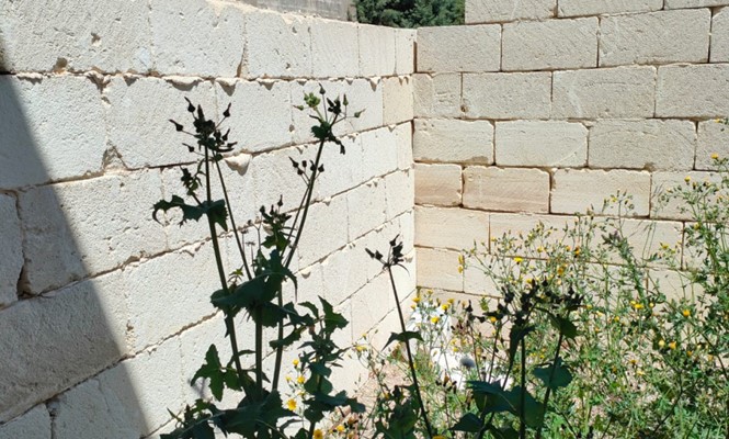 62MD, Monolocale , Lecce