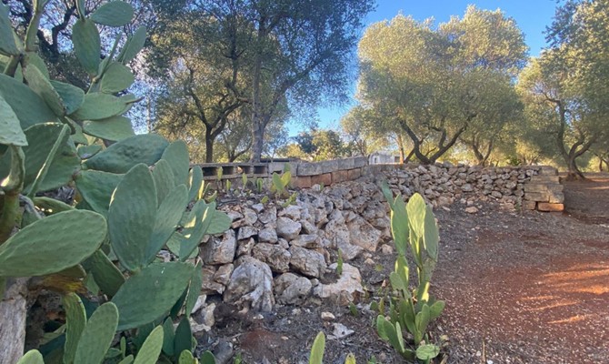 /public/fotoimmobili/006-foto-savio-trullo-33.jpg.ashx?width=670&height=400&mode=crop