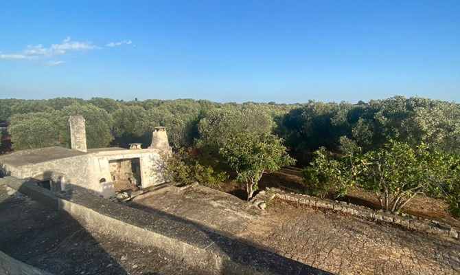 /public/fotoimmobili/011-foto-savio-trullo-26.jpg.ashx?width=670&height=400&mode=crop