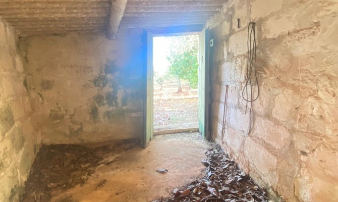 /public/fotoimmobili/020-foto-savio-trullo-2.jpg.ashx?width=670&height=400&mode=crop