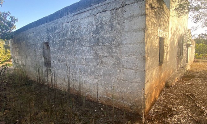 /public/fotoimmobili/035-foto-savio-trullo-74.jpg.ashx?width=670&height=400&mode=crop