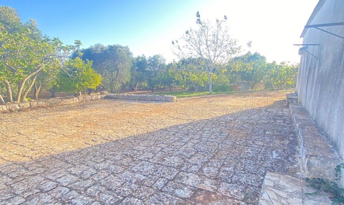 /public/fotoimmobili/066-foto-savio-trullo-61.jpg.ashx?width=670&height=400&mode=crop