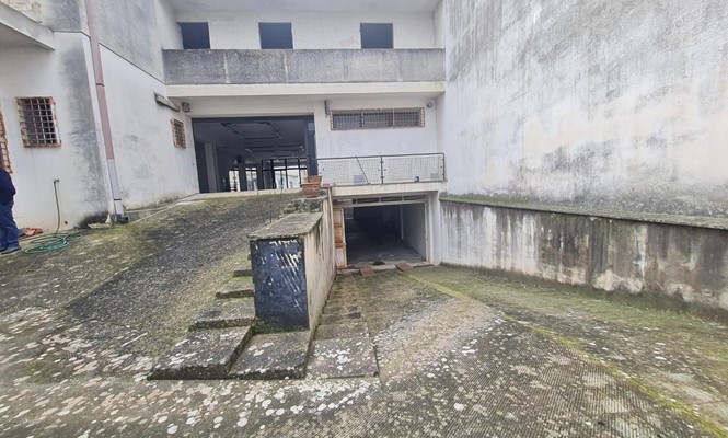 Laboratorio in Vendita a Lecce - via  Marco Basseo - Centro Storico