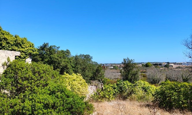 Locale commerciale in Vendita a Lecce - via  Alfonso Lamarmora - Ariosto Mazzini