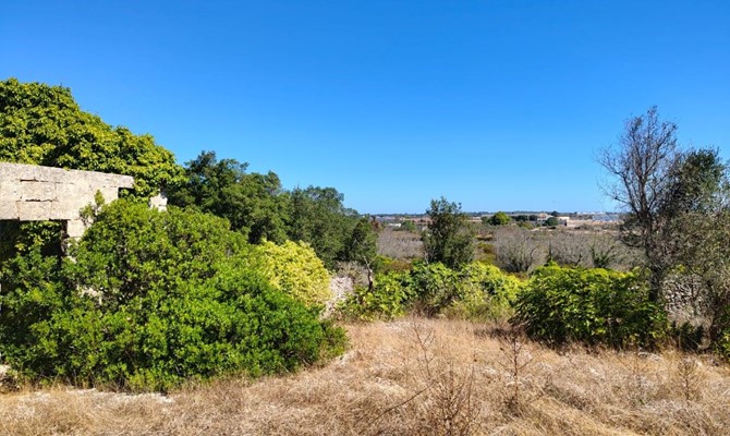 /public/fotoimmobili/1363789-ul47jsy.jpg.ashx?width=670&height=400&mode=crop