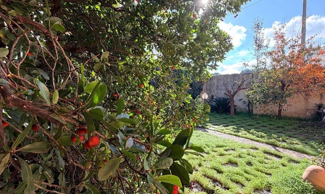 /public/fotoimmobili/1374678-grn167gx.jpg.ashx?width=670&height=400&mode=crop