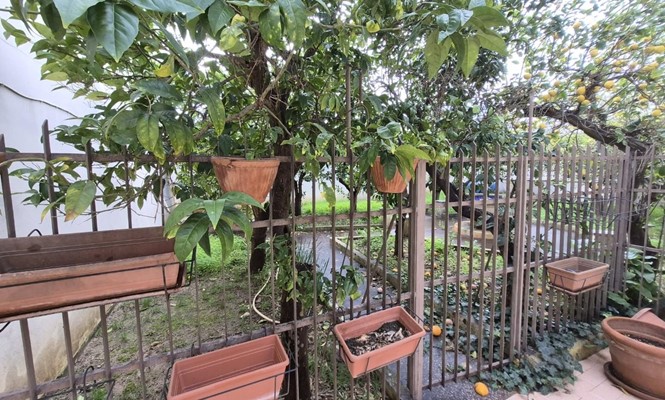 Appartamento in Vendita a Cavallino - via  Marzabotto