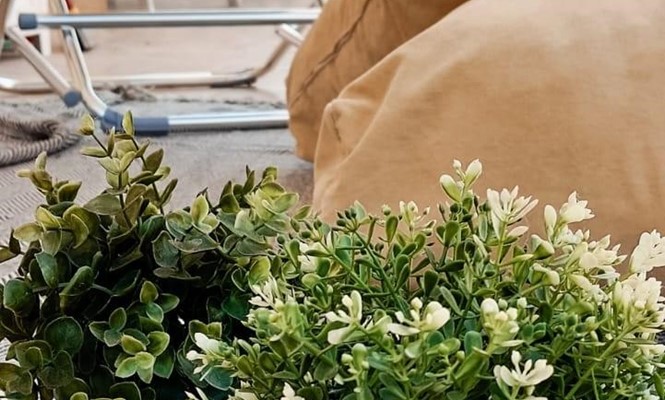 Appartamento in Vendita a Lecce - via Giuseppe Battista - Cicolella