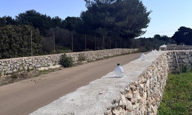 Stabile/palazzo in Vendita a San Donato -  Donato di Lecce