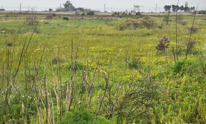 Appartamento in Vendita a Lecce - via Salvatore Grande - San Lazzaro