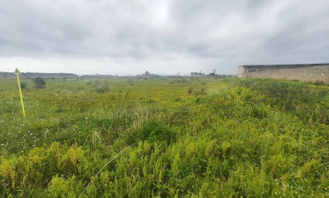 Appartamento in Vendita a Lecce - via Salvatore Grande - San Lazzaro