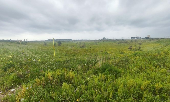 Appartamento in Vendita a Lecce - via Salvatore Grande - San Lazzaro