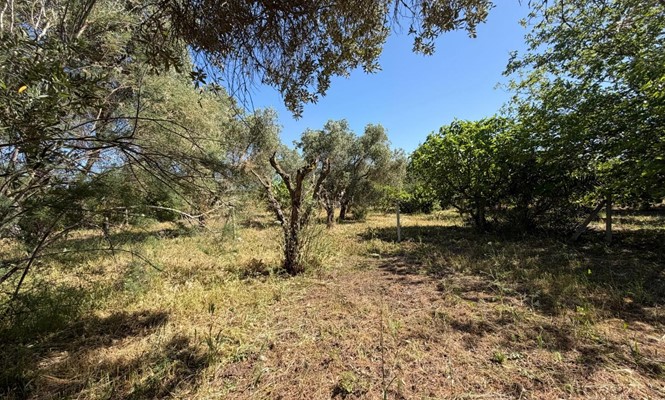 Appartamento in Vendita a Lecce - via Giovanni Antonio Orsini del Balzo - San Lazzaro