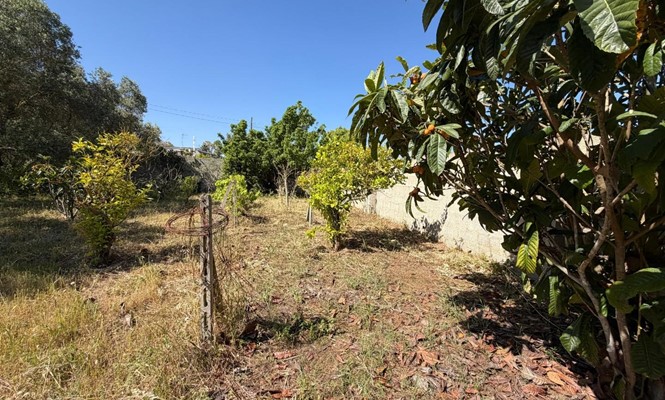 Appartamento in Vendita a Lecce - via Giovanni Antonio Orsini del Balzo - San Lazzaro