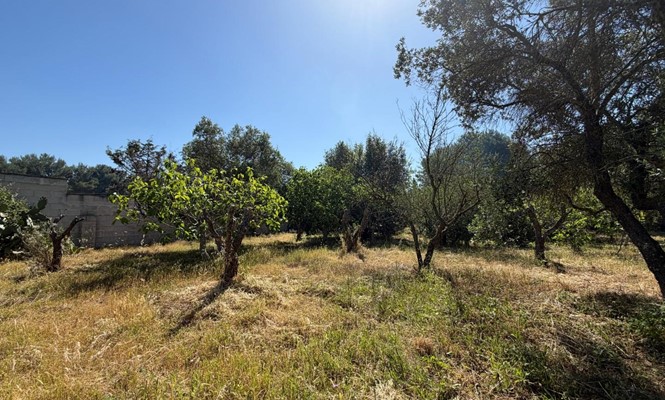Appartamento in Vendita a Lecce - via Giovanni Antonio Orsini del Balzo - San Lazzaro