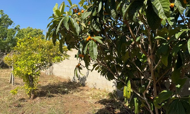 Appartamento in Vendita a Lecce - via Giovanni Antonio Orsini del Balzo - San Lazzaro