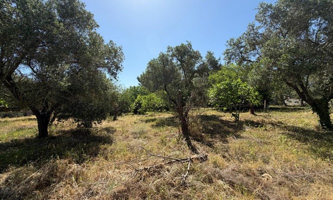 Appartamento in Vendita a Lecce - via Giovanni Antonio Orsini del Balzo - San Lazzaro