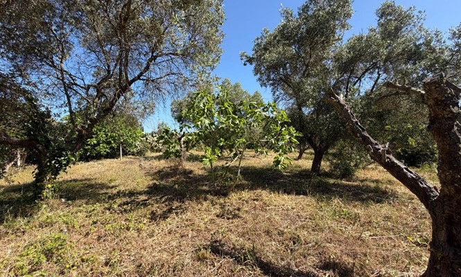 Appartamento in Vendita a Lecce - via Giovanni Antonio Orsini del Balzo - San Lazzaro