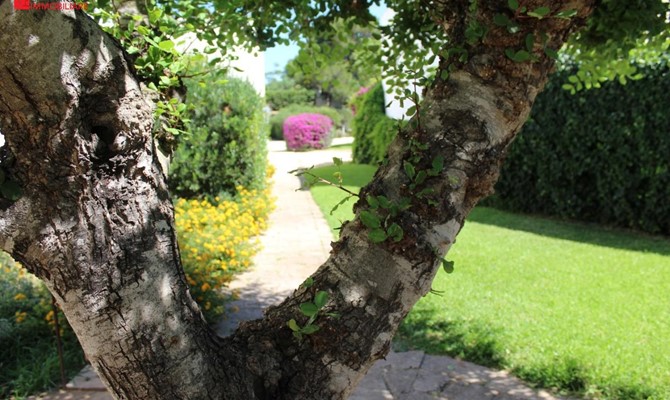 /public/fotoimmobili/1428748-8w9300.jpeg.ashx?width=670&height=400&mode=crop