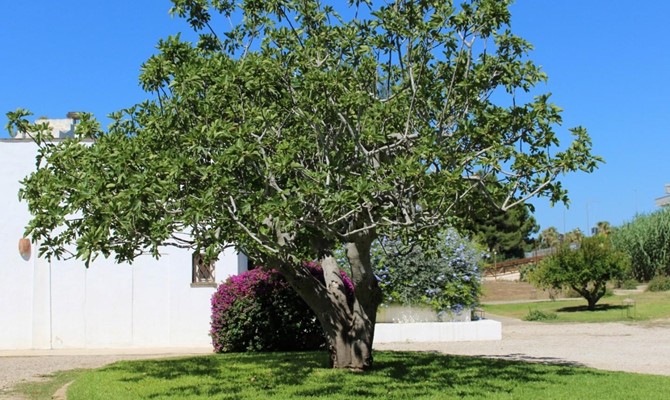 /public/fotoimmobili/1428748-rwsl3ouz.jpeg.ashx?width=670&height=400&mode=crop