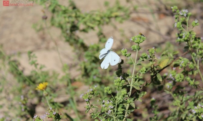 /public/fotoimmobili/1428871-010l32xg.jpeg.ashx?width=670&height=400&mode=crop