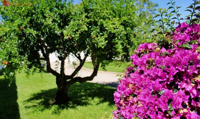 /public/fotoimmobili/1428871-0hq34m.jpeg.ashx?width=670&height=400&mode=crop