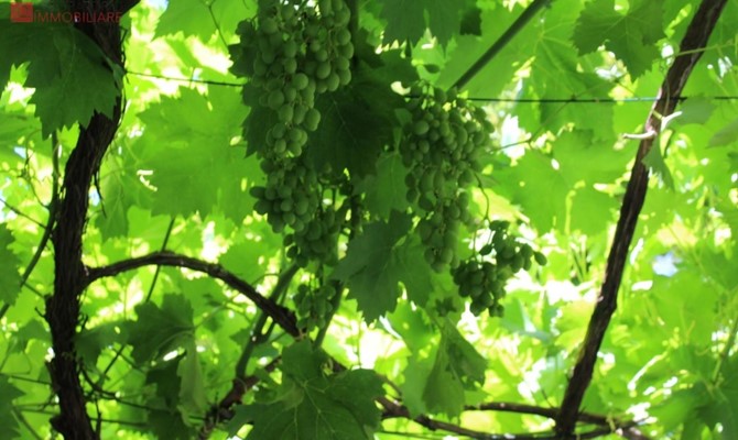 /public/fotoimmobili/1428871-6742h.jpeg.ashx?width=670&height=400&mode=crop