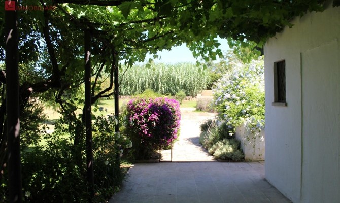 /public/fotoimmobili/1428871-bqgzry40xlc.jpeg.ashx?width=670&height=400&mode=crop