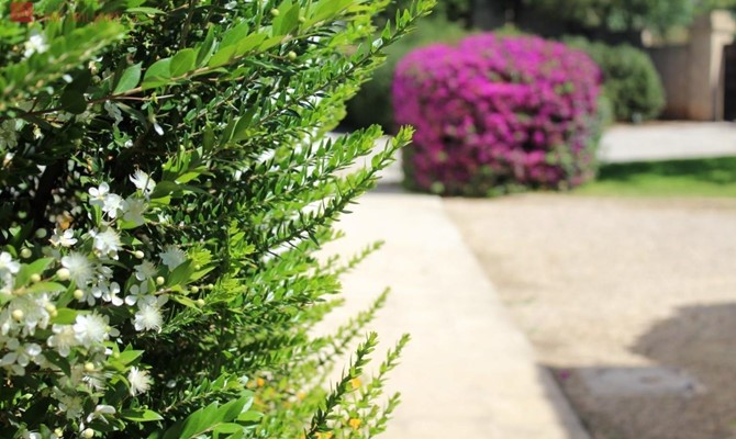 /public/fotoimmobili/1428871-dm78q.jpeg.ashx?width=670&height=400&mode=crop
