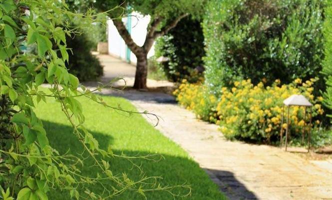 Terreno agricolo in Vendita a Lecce - via delle Quercie