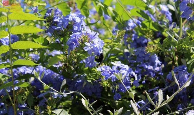 /public/fotoimmobili/1428871-j5d70ngw.jpeg.ashx?width=670&height=400&mode=crop