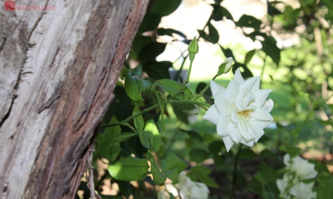 /public/fotoimmobili/1428871-ks7f68q0p.jpeg.ashx?width=670&height=400&mode=crop