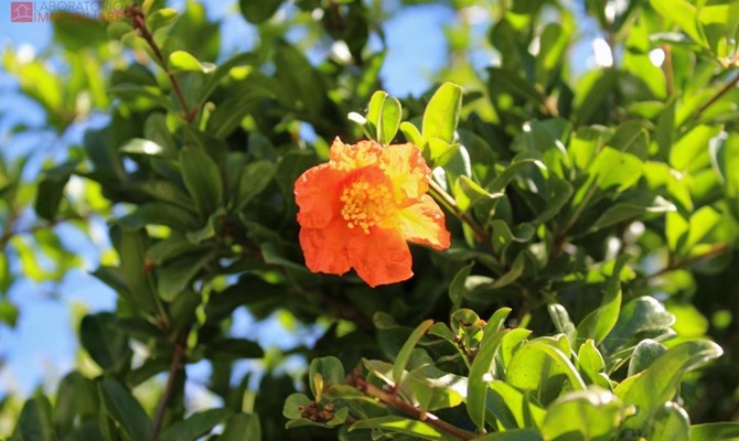 /public/fotoimmobili/1428871-s287dya.jpeg.ashx?width=670&height=400&mode=crop