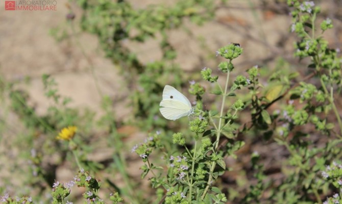 /public/fotoimmobili/1428871-xx16jhw.jpeg.ashx?width=670&height=400&mode=crop