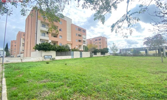 BOX ampio, Lecce
