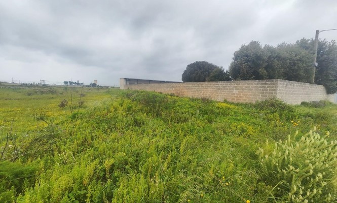 Appartamento in Vendita a Lecce - via Salvatore Grande - San Lazzaro